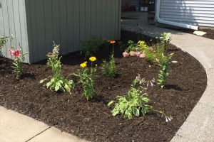 Sabas's Outdoor Services Lawn Care